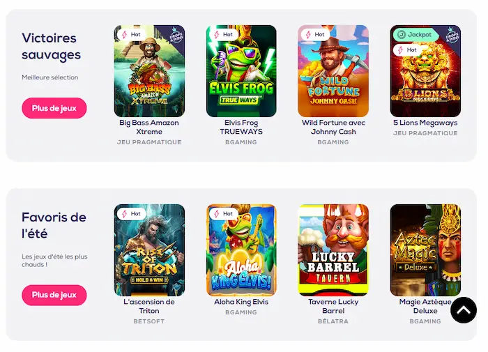 Wild Fortune Casino jeux